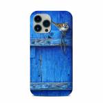 Blue Door iPhone 13 Pro Max Clip Case