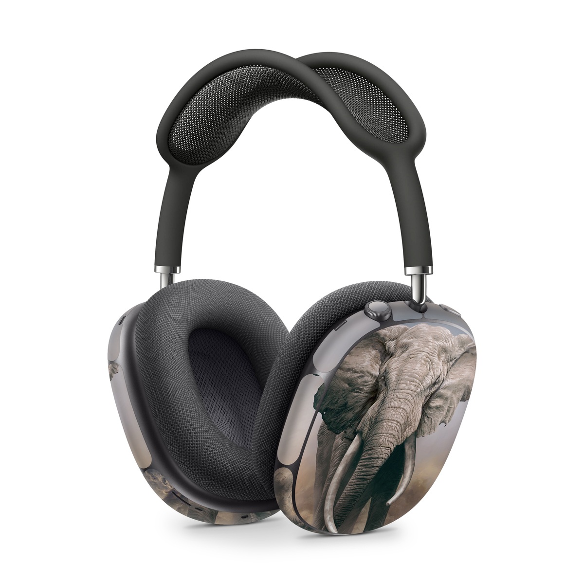 Apple AirPods Max Skin design of Elephants and Mammoths, Terrestrial animal, Indian elephant, African elephant, Wildlife, Tusk, Snout, Organism, Working animal, Illustration, with brown, gray, white colors