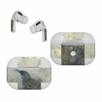 The Raven Apple AirPods Pro Skin