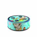 Merkitten with Ukelele Amazon Echo Dot 2nd Gen Skin