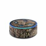 Break-Up Country Amazon Echo Dot 2nd Gen Skin