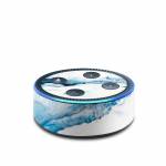 Polar Marble Amazon Echo Dot 2nd Gen Skin