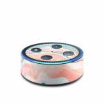 Spring Oyster Amazon Echo Dot 2nd Gen Skin