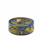 Irises Amazon Echo Dot 2nd Gen Skin