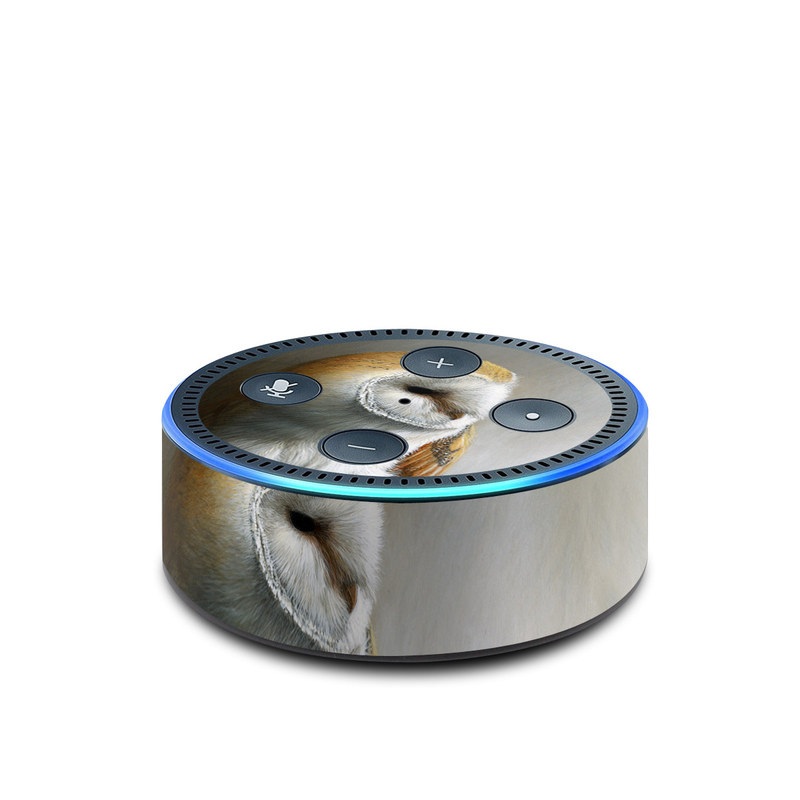 Amazon Echo Dot 2nd Gen Skin design of Barn owl, Owl, Bird, Bird of prey, Beak, Wildlife, with yellow, white, orange, brown colors