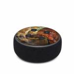 Blagora Amazon Echo Dot 3rd Gen Skin