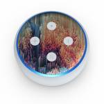 Fairyland Amazon Echo Dot 3rd Gen Skin