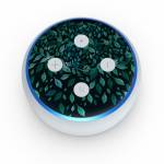 Growth Amazon Echo Dot 3rd Gen Skin