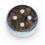 Duck Blind Amazon Echo Dot 3rd Gen Skin
