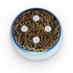 Shadow Grass Blades Amazon Echo Dot 3rd Gen Skin