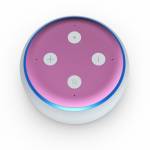 Solid State Pink Amazon Echo Dot 3rd Gen Skin