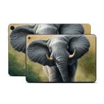 Right of Way Amazon Fire Tablet Series Skin