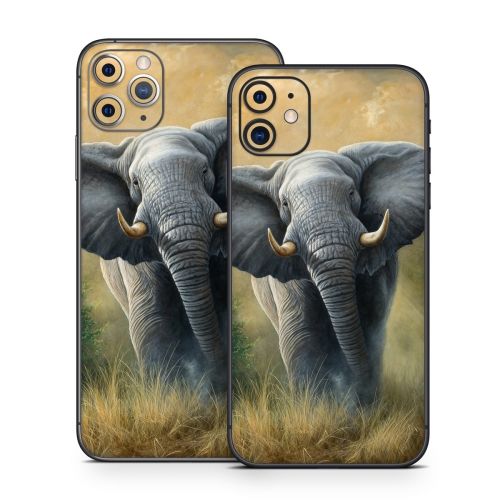 Right of Way iPhone 11 Series Skin