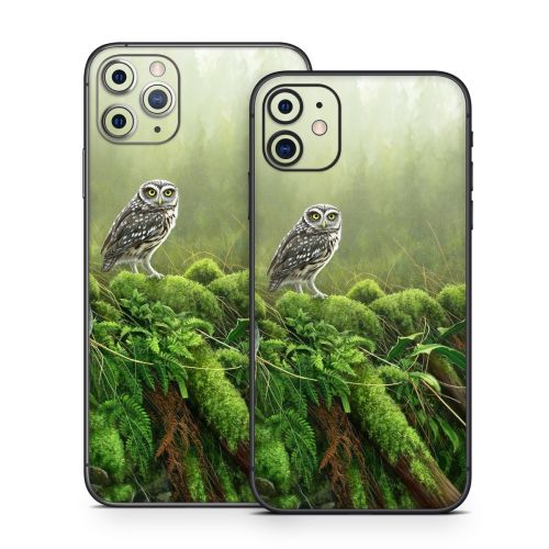 Tumbledown iPhone 11 Series Skin