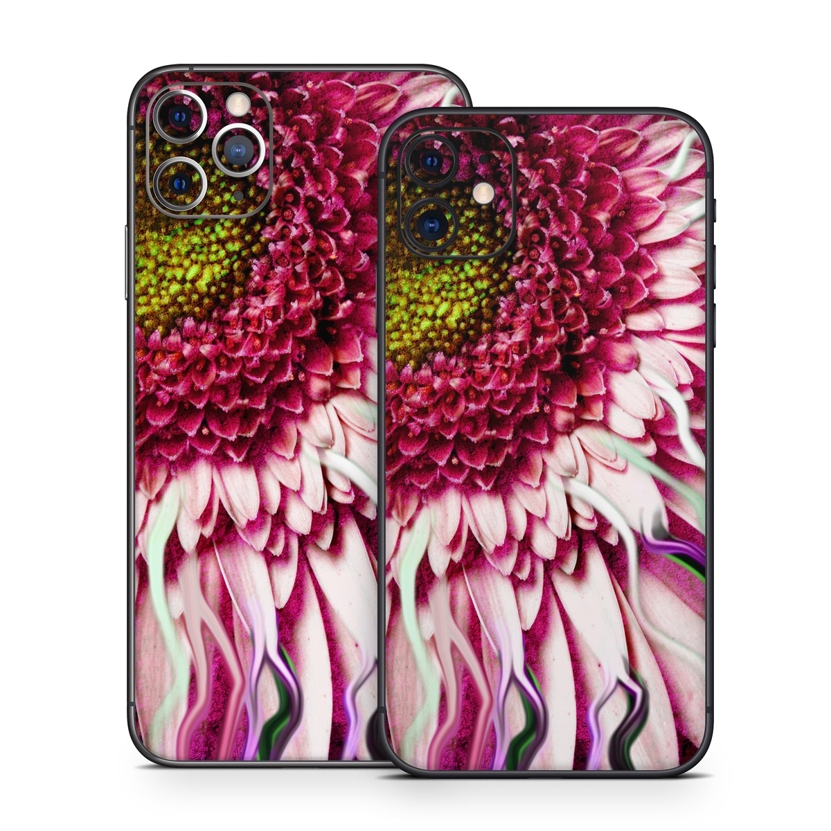 iPhone 11 Series Skin design of Flowering plant, Flower, Petal, Plant, Purple, Pink, Gazania, Violet, Gerbera, Chrysanths, with black, gray, red, purple, pink, white colors