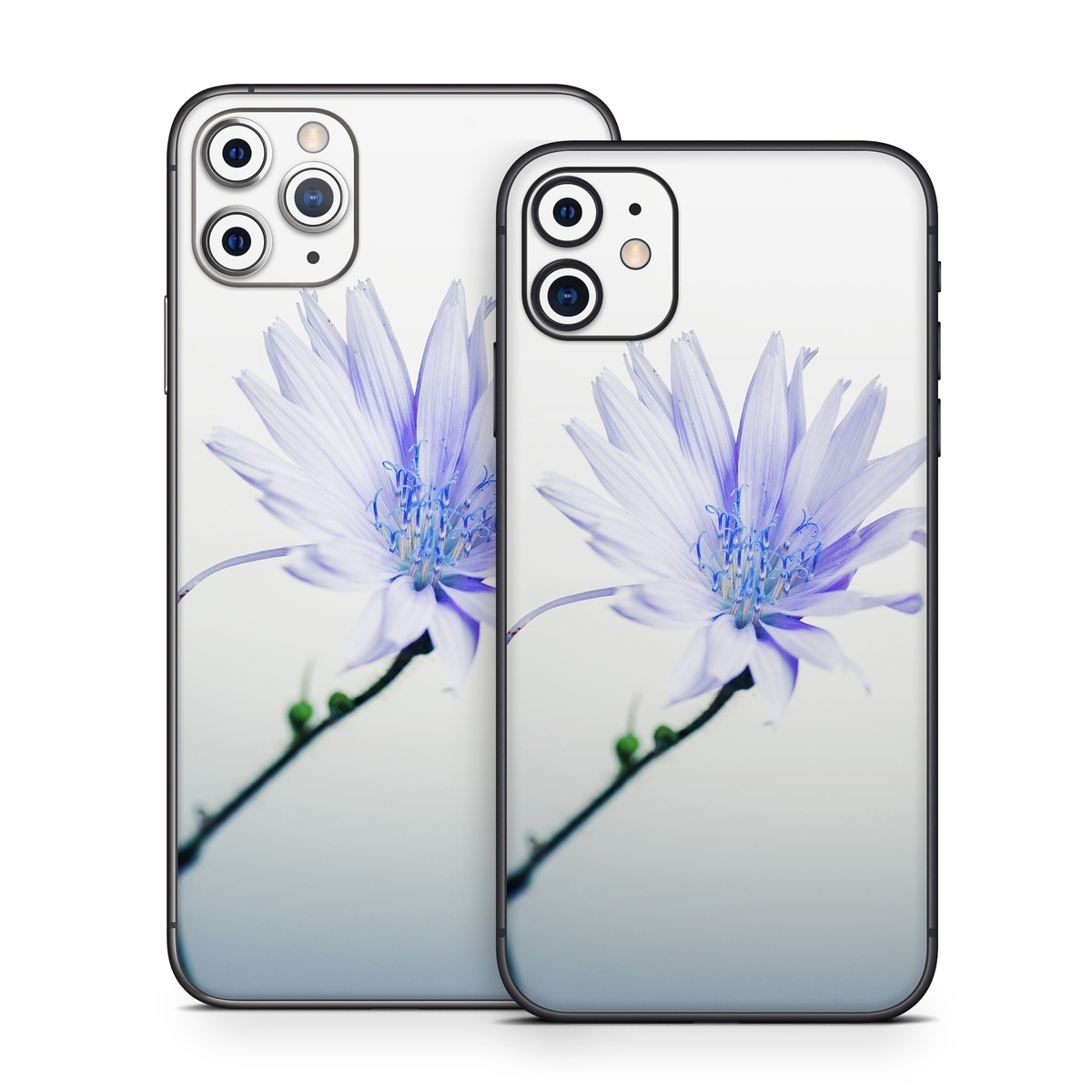 iPhone 11 Series Skin design of Blue, Flower, Plant, Petal, Close-up, Macro photography, Flowering plant, Herbaceous plant, Wildflower, Photography, with gray, white, yellow colors