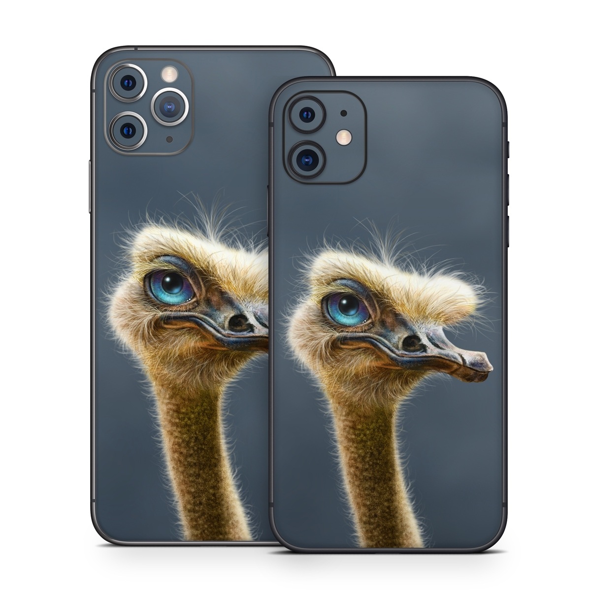 iPhone 11 Series Skin design of Ostrich, Flightless bird, Ratite, Bird, Beak, Close-up, Emu, Wildlife, Organism, Terrestrial animal, with black, gray, blue, green, red colors