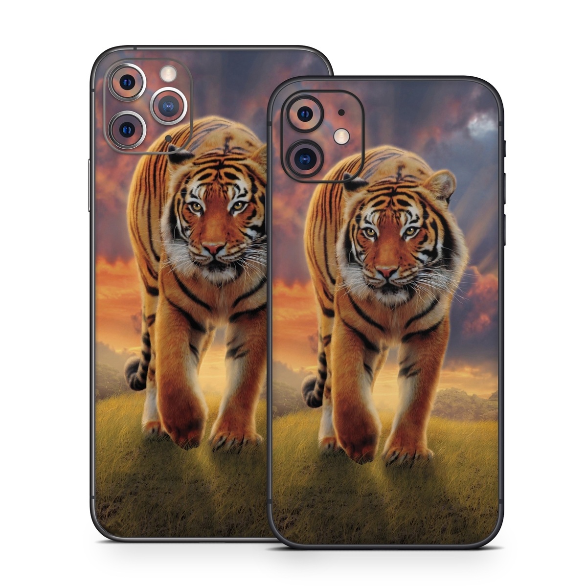 iPhone 11 Series Skin design of Tiger, Wildlife, Bengal tiger, Mammal, Felidae, Siberian tiger, Sky, Big cats, Terrestrial animal, Carnivore, with black, white, yellow, red, green, blue colors