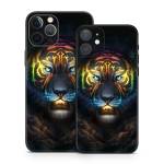 Colorsoul iPhone 12 Series Skin