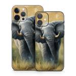 Right of Way iPhone 12 Series Skin
