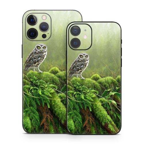 Tumbledown iPhone 12 Series Skin