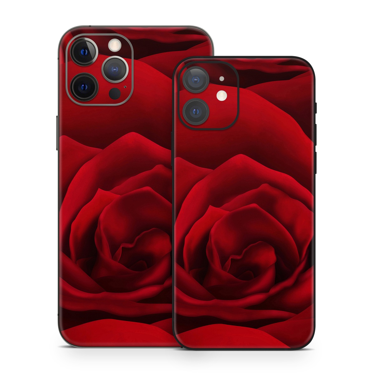 iPhone 12 Series Skin design of Red, Garden roses, Rose, Petal, Flower, Nature, Floribunda, Rose family, Close-up, Plant, with black, red colors
