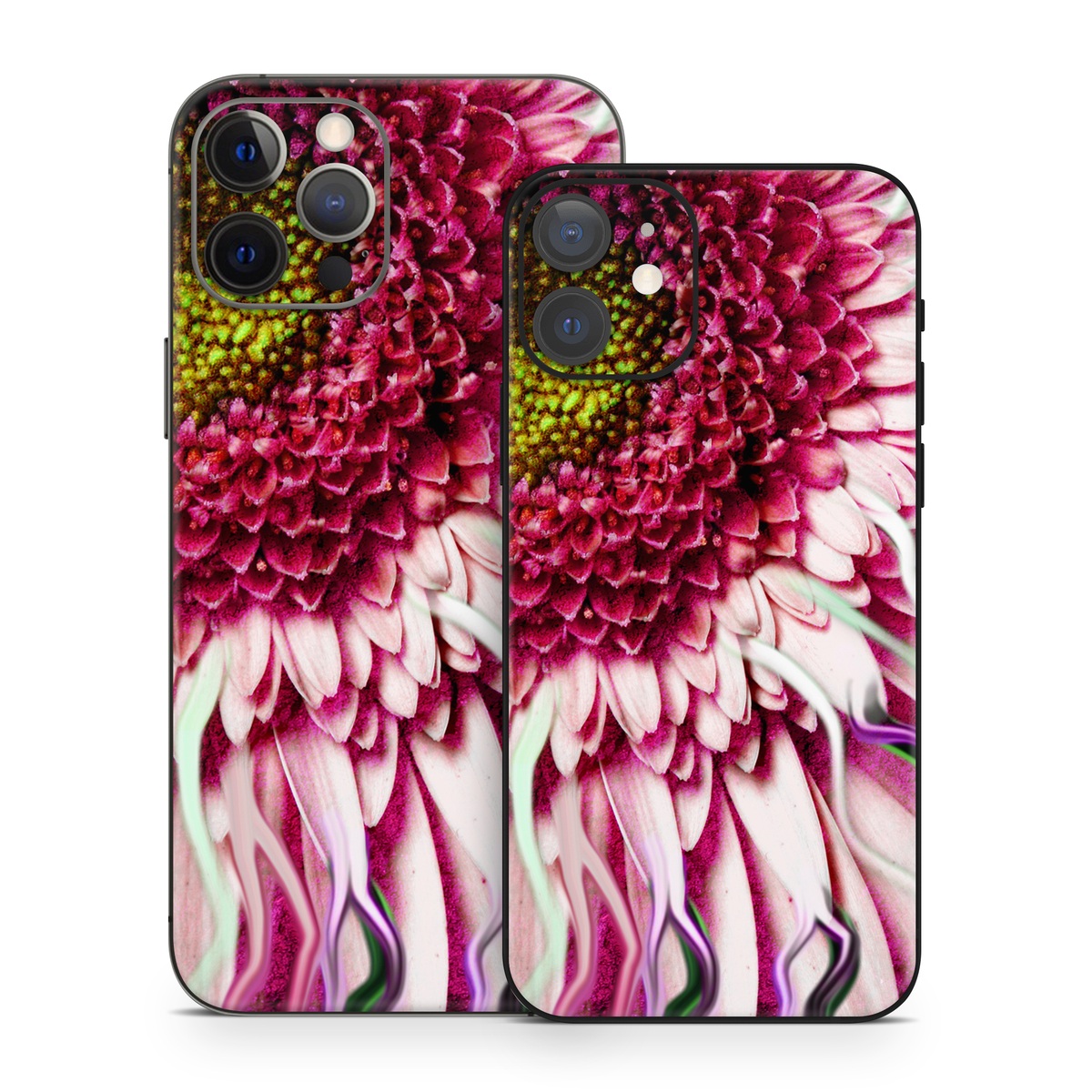 iPhone 12 Series Skin design of Flowering plant, Flower, Petal, Plant, Purple, Pink, Gazania, Violet, Gerbera, Chrysanths, with black, gray, red, purple, pink, white colors