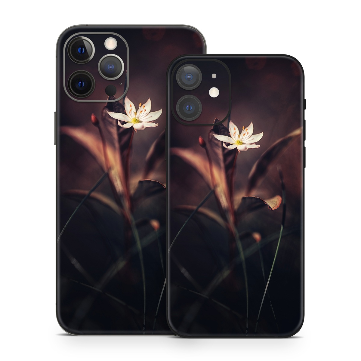 iPhone 12 Series Skin design of Flower, Yellow, Light, Plant, Sky, Still life photography, Wildflower, Petal, Darkness, Spring, with black, red colors