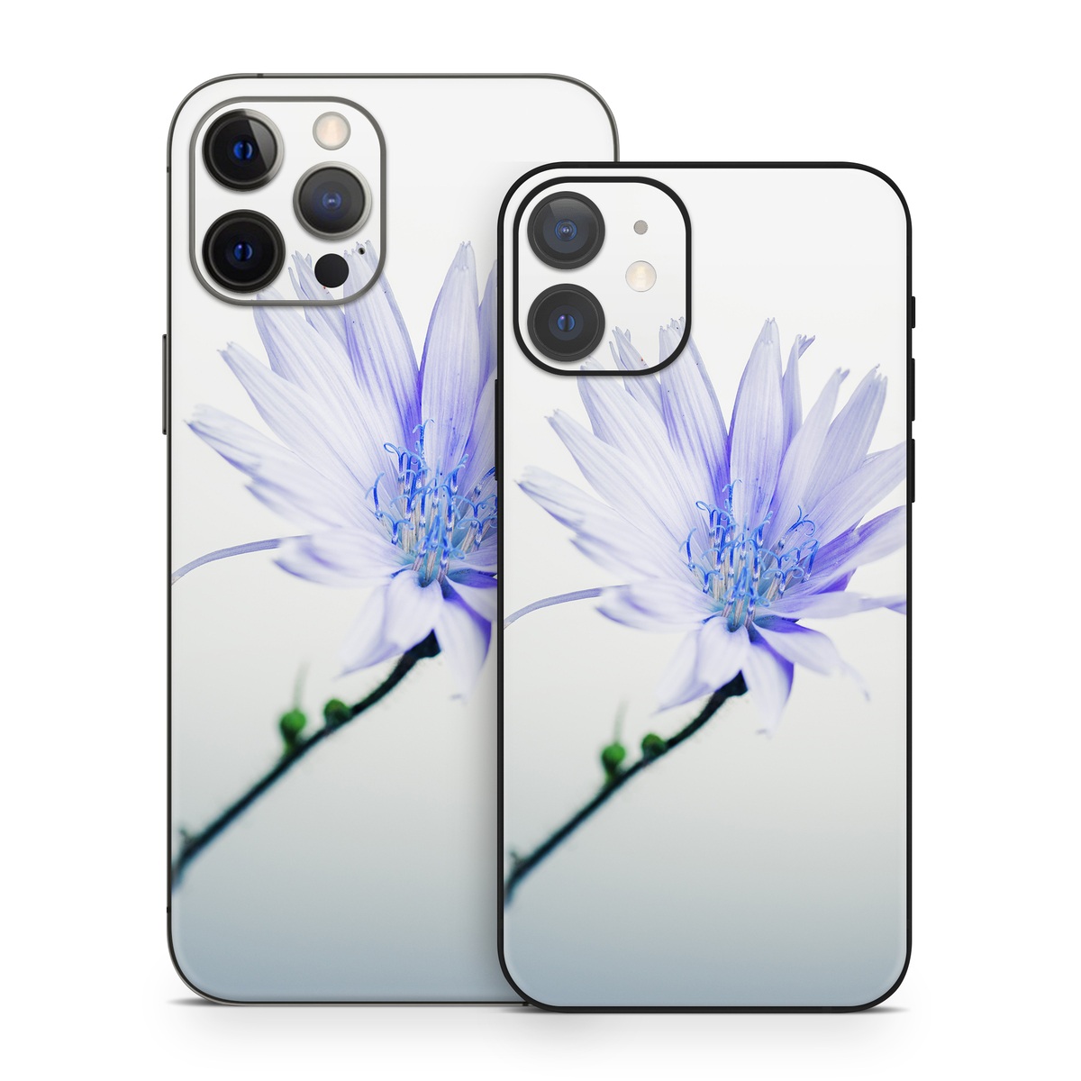 iPhone 12 Series Skin design of Blue, Flower, Plant, Petal, Close-up, Macro photography, Flowering plant, Herbaceous plant, Wildflower, Photography, with gray, white, yellow colors