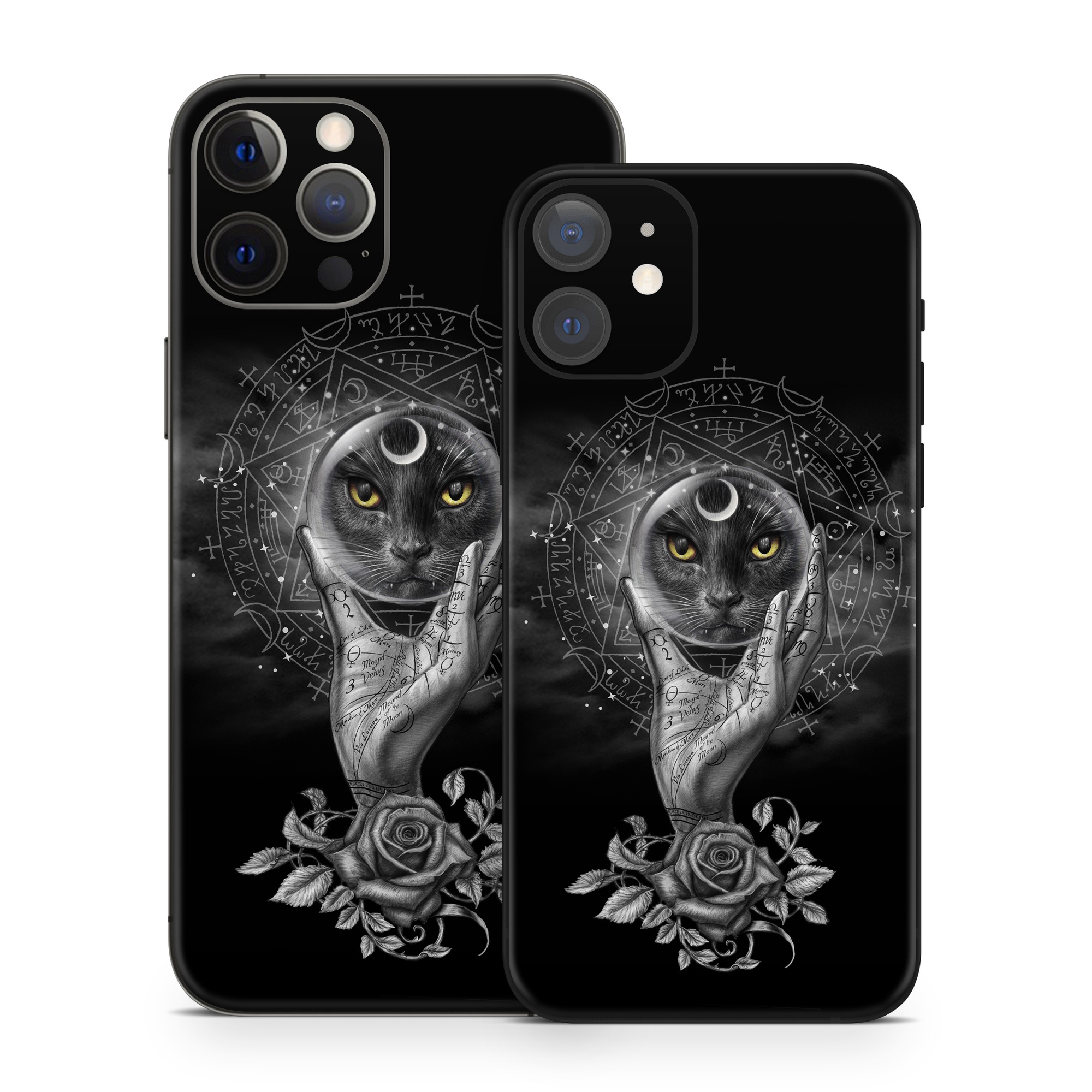 iPhone 12 Series Skin design of Head, Eye, Flash photography, Painting, Headgear, Art, Font, Snout, Darkness, Owl, with black, white, gray colors