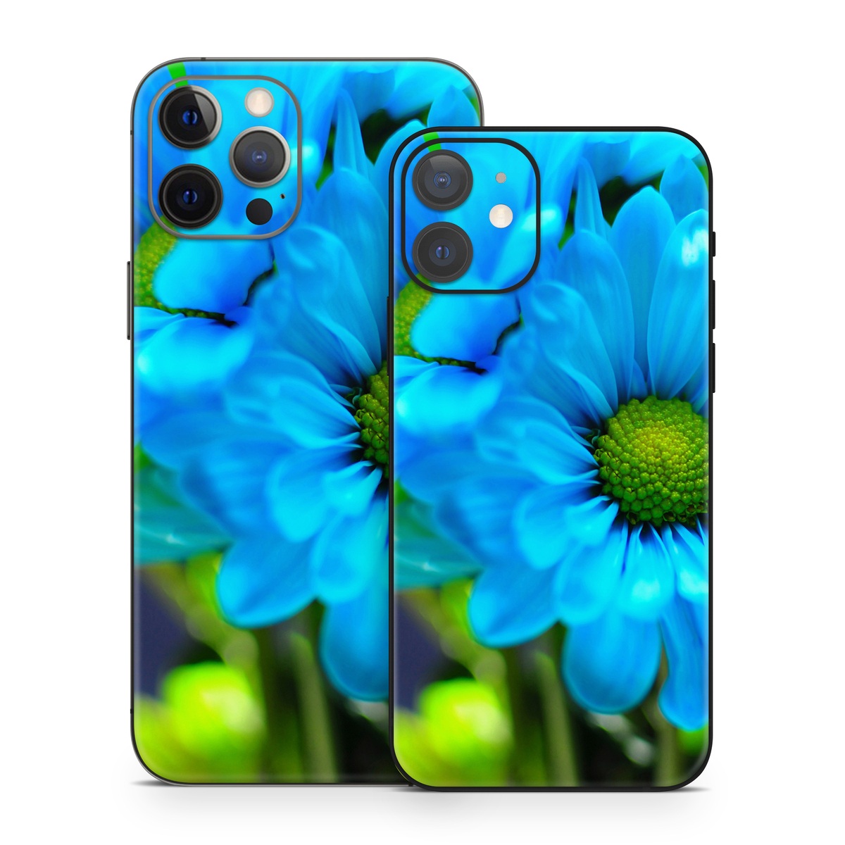 iPhone 12 Series Skin design of Blue, Flower, Petal, Green, Plant, Cobalt blue, Yellow, Flowering plant, Gerbera, Electric blue, with blue, black, green colors