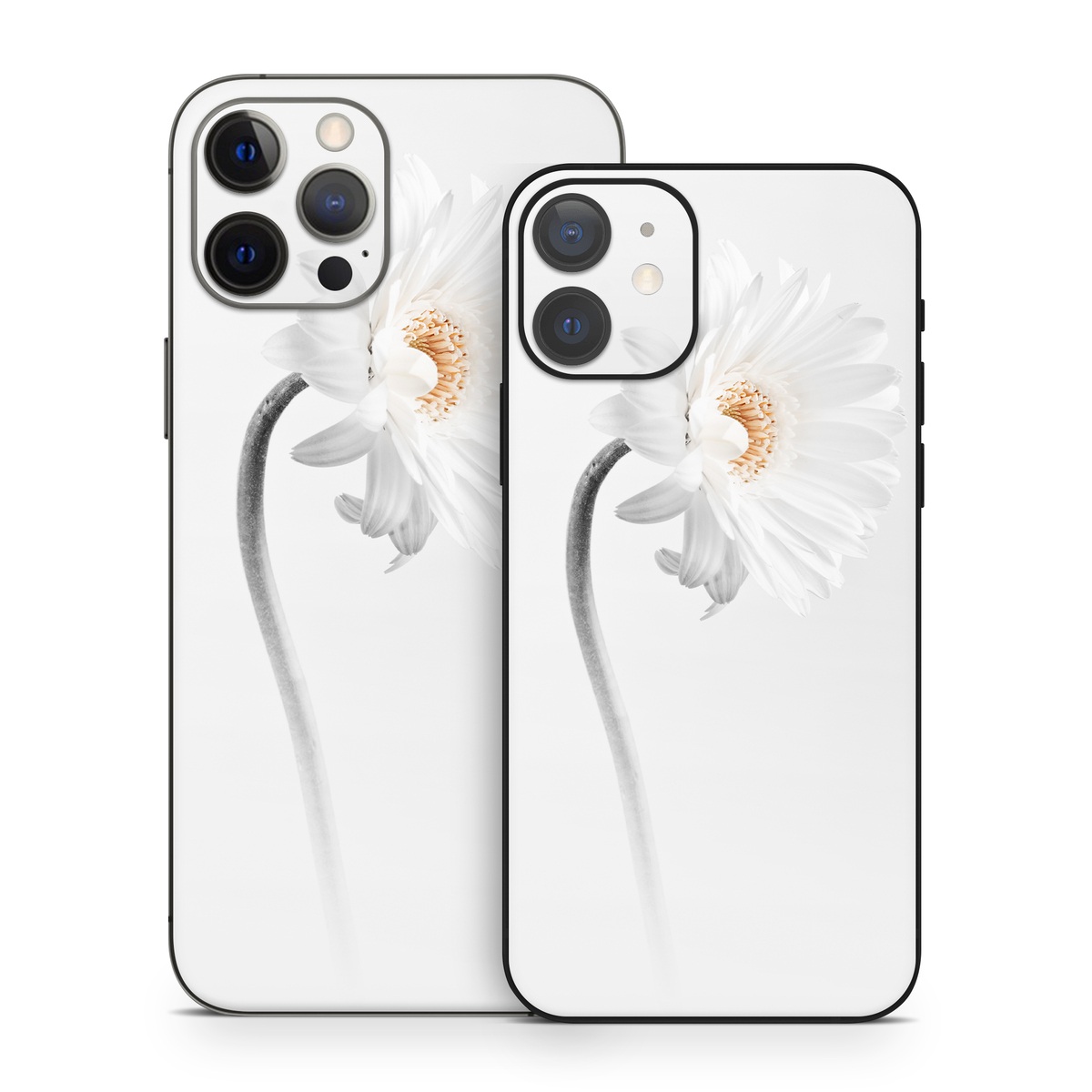 iPhone 12 Series Skin design of White, Hair accessory, Headpiece, Gerbera, Petal, Flower, Plant, Still life photography, Headband, Fashion accessory, with white, gray colors