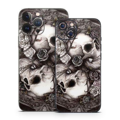 Dioscuri iPhone 13 Series Skin