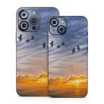 Equinox iPhone 14 Series Skin
