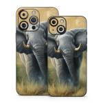 Right of Way iPhone 14 Series Skin