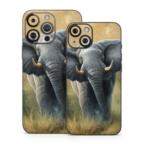 Right of Way iPhone 14 Series Skin