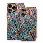 Stained Aspen iPhone 16 Series Skin