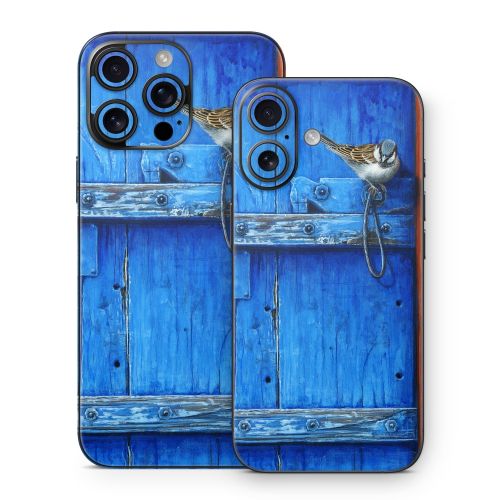 Blue Door iPhone 16 Series Skin