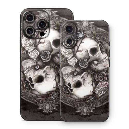 Dioscuri iPhone 16 Series Skin