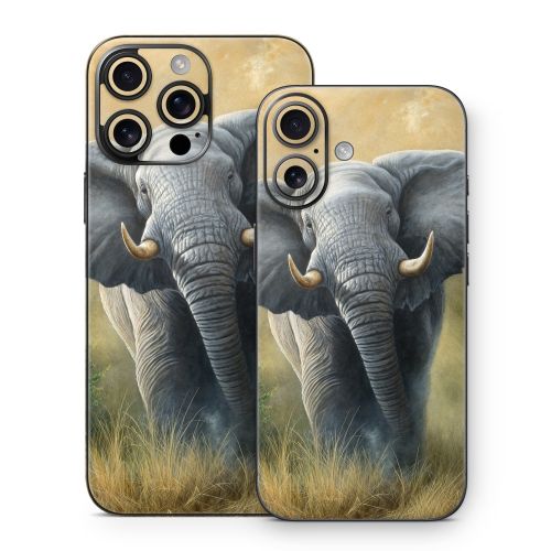 Right of Way iPhone 16 Series Skin