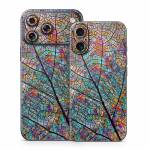 Stained Aspen iPhone 17 Series Skin