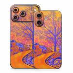 Sunset Park iPhone 17 Series Skin