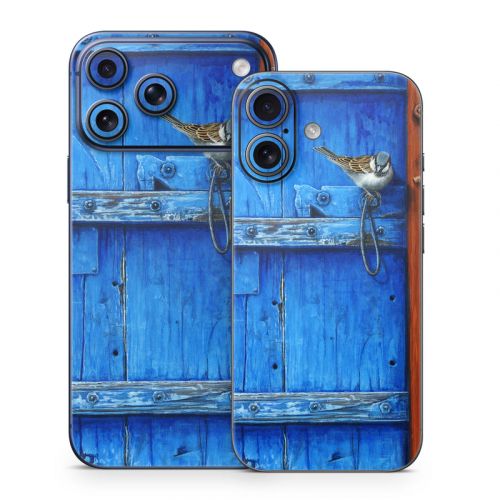 Blue Door iPhone 17 Series Skin