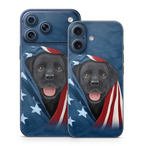 Patriotic Lab iPhone 17 Series Skin