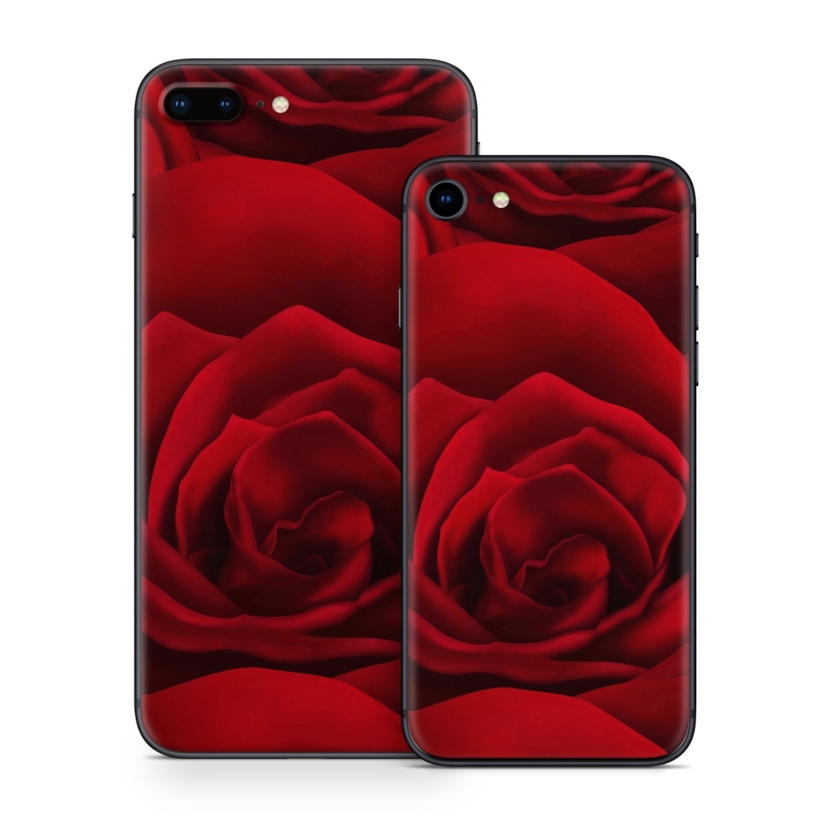 iPhone 8 Series Skin design of Red, Garden roses, Rose, Petal, Flower, Nature, Floribunda, Rose family, Close-up, Plant, with black, red colors