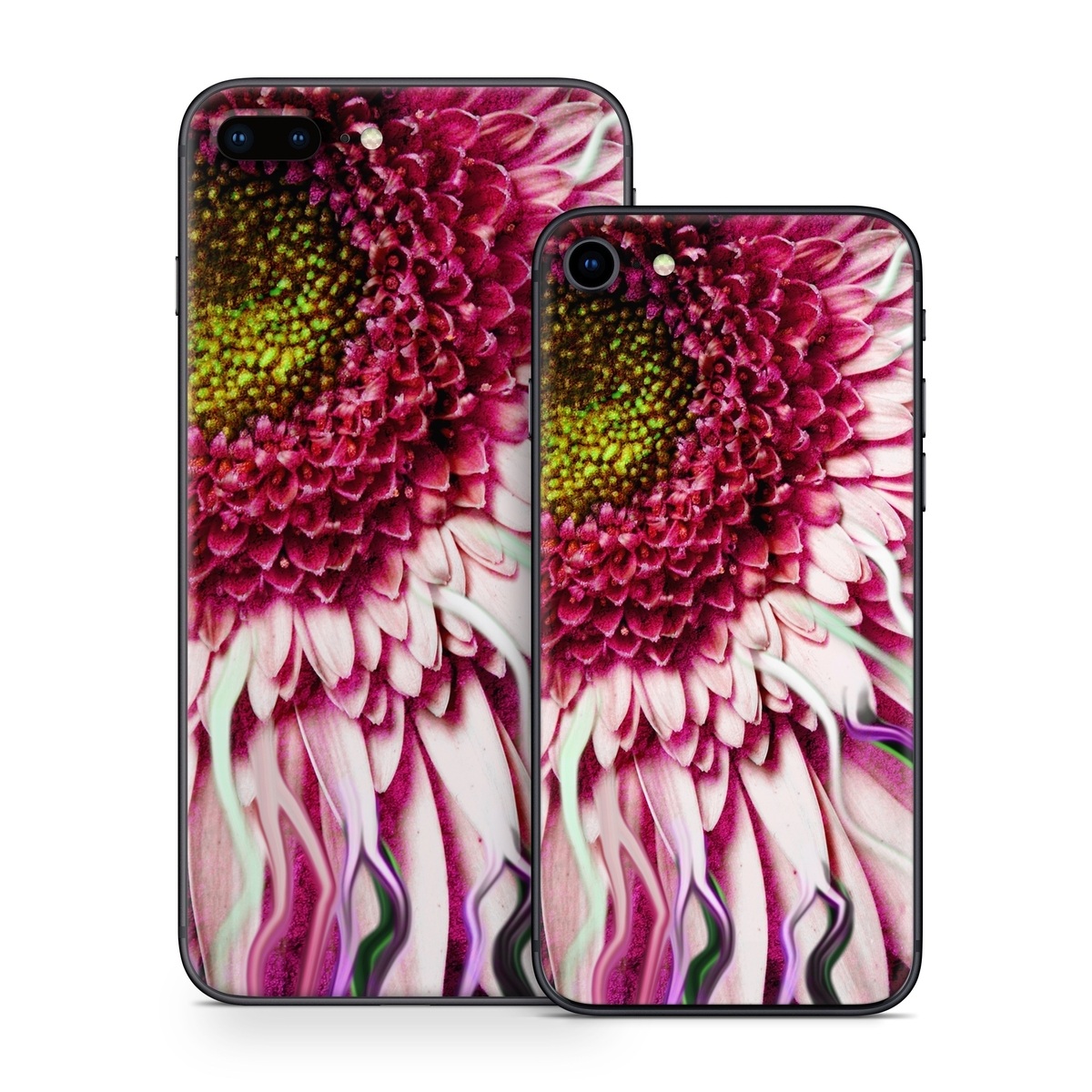 iPhone 8 Series Skin design of Flowering plant, Flower, Petal, Plant, Purple, Pink, Gazania, Violet, Gerbera, Chrysanths, with black, gray, red, purple, pink, white colors