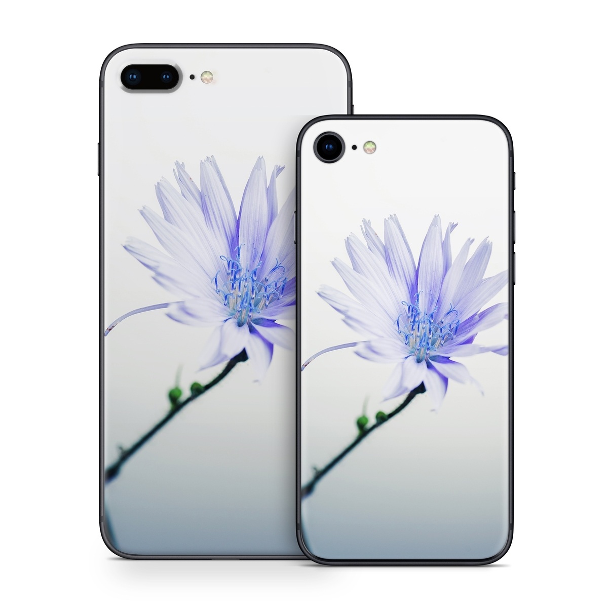 iPhone 8 Series Skin design of Blue, Flower, Plant, Petal, Close-up, Macro photography, Flowering plant, Herbaceous plant, Wildflower, Photography, with gray, white, yellow colors