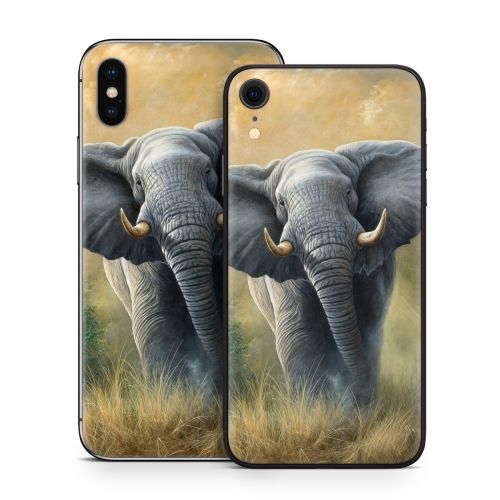 Right of Way iPhone X Series Skin