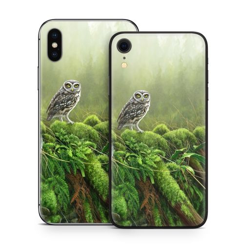 Tumbledown iPhone X Series Skin