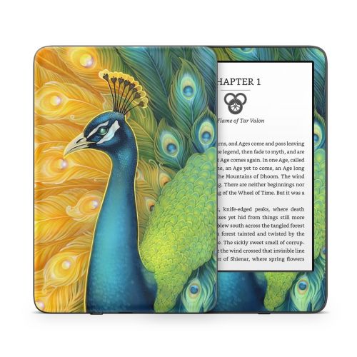 Let Go Of Old Amazon Kindle Series Skin